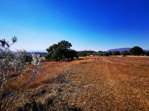 Terreno con vista panoramica a bosque de la primavera