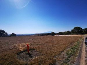 Terreno con vista panoramica a bosque de la primavera