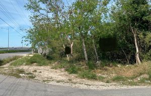 Terreno en Venta en carril de baja, esquina, carretera  Mérida-Progreso,  Mérida