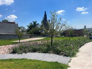 TERRENO HABITACIONAL EN LOMAS DE JURIQUILLA, QUERETARO