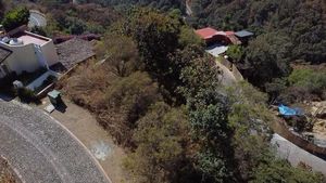 TERRENO CON VISTA AL LAGO Y BOSQUE , EN EL SANTUARIO