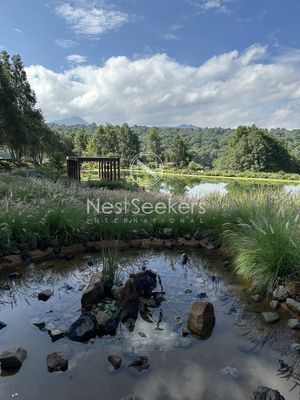 Casa en venta en condominio en entorno de montañas y bosque.