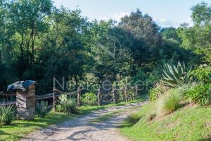 Casa en renta en el bosque