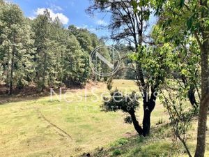 Terreno en Venta en saúcos, Avandaro