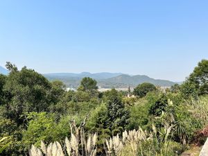 Disfruta de una espectacular vista al bosque y al lago, en tu casa.