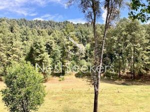 Terreno en Venta en saúcos, Avandaro