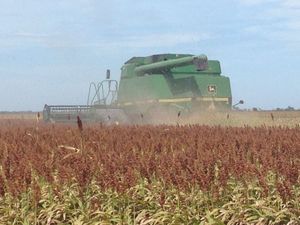 Se vende rancho agrícola Matamoros San Fernando tamaulipas