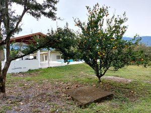 Quinta / terrenos en VENTA cerca a Bioparque  Carr nacional Montemorelos