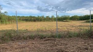 Terreno en Venta en El Sabino / El Venado, Allende, Nuevo León