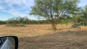 Terreno en Venta en El Sabino / El Venado, Allende, Nuevo León