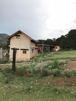 Rancho a 30 kms de Saltillo, Coahuila