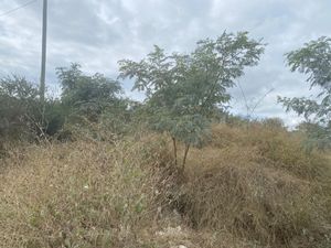 TERRENO EN VENTA EN LOMAS DE SOL