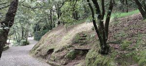 Terreno para casa en fraccionamiento frente a Rancho San Francisco