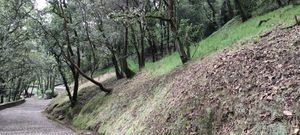 Terreno para casa en pintoresco fraccionamiento frente a Rancho San Francisco