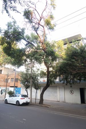 3 departamentos  en venta en Vertiz