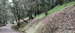 Terreno para casa en fraccionamiento frente a Rancho San Francisco