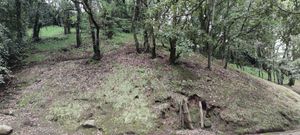 Terreno para casa en fraccionamiento frente a Rancho San Francisco