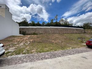 La Joya Bosque Real último terreno