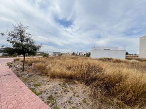 Venta de Terreno en Ciudad Maderas Querétaro