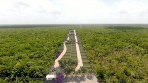 Terrenos en venta en Cancun en Punta Palmar Caribe de 300 m2, Gran Plusvalía