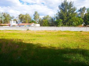 En  Campestre San Isidro, Contamos con 2 Lotes de 900 m2, Juntos o por Separado.