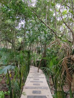 Aldea Coral , Terrenos en Ciudad Chemuyil, Tulum, Quintana Roo