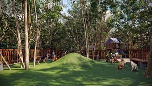 Terrenos cercanos a la playa para desarrolladores en Selvazama, Tulum