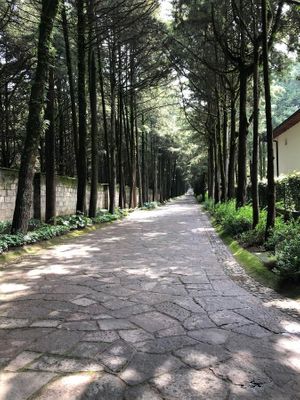 Terreno en venta en Hacienda Jajalpa