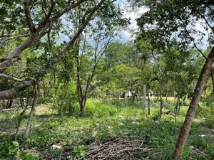 FINCA EN VENTA - TECOH -