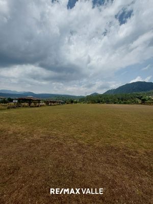 Terreno en  Renta