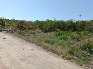 Terreno de oportunidad  en SANTA CLARA  Dzidzantùn Mèrida Yucatn