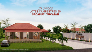 LOTES CAMPESTRES EN SACAPUC MOTUL MÉRIDA YUCATÁN