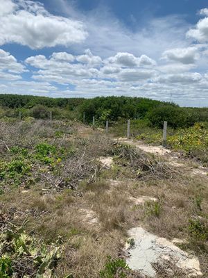 LOTE EN LA PLAYA DE SAN BENITO YUCATÁN