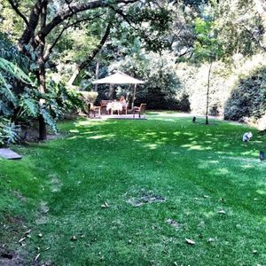 Bosques de Santa Fe Cuajimalpa De Morelos, Ciudad De México