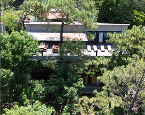 Casa los colibríes