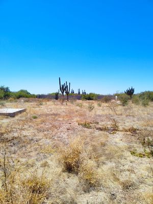 SALIDA AL SUR frente a carretera