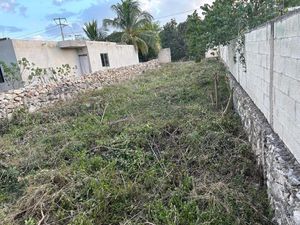 Dzitya, Mérida, Yucatán- terreno en venta(tamarindos)