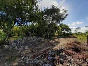 terreno en venta en plan de ayala sur en la ciudad de Mérida