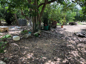 Terreno en carretera Mérida-Cancún con  comederos, cobertizos, casa de empleado