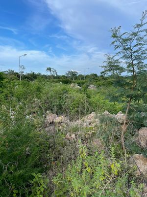 Terreno en venta en la zona de Conkal