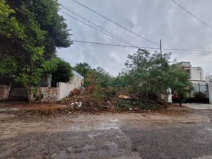 Terreno dentro de la ciudad, Colonia San Pedro Uxmal