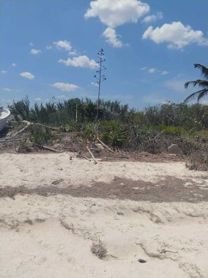 Terreno en venta en Santa Clara, Dzidzantún, Yucatán