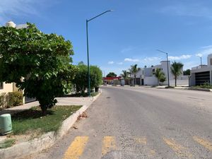 CASA ABETO EN ESQUINA.