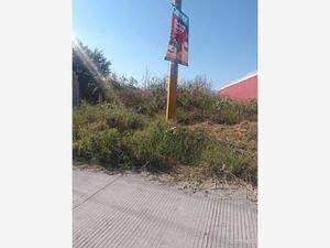 Terreno en Venta en Jojutla Centro Jojutla