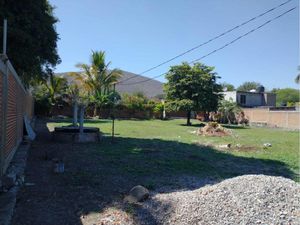 Terreno en Venta en Bonifacio García (Colonia Alejandra) Tlaltizapán de Zapata