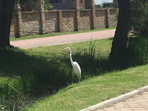 Terreno en Venta en Val Quirico Tetlatlahuca