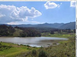 Terreno en Venta en Carretera Panamericana.