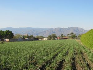 Terreno en VENTA en YAUTEPEC, Morelos.