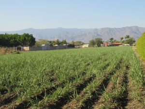 Terreno en VENTA en YAUTEPEC, Morelos.