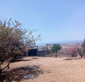 Terreno en venta,  Atlatlahucan Morelos